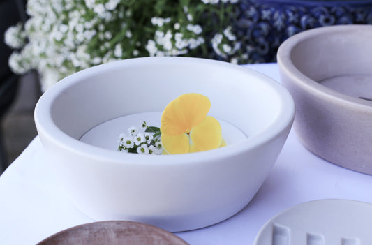 Large Soap Dish