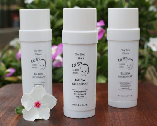 Tallow Deodorant- Tea Tree Citrus