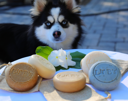Diggy Dog Soap